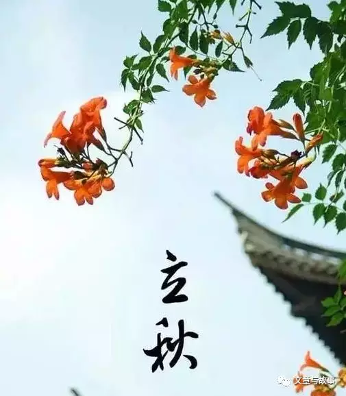 1533637589939004.png