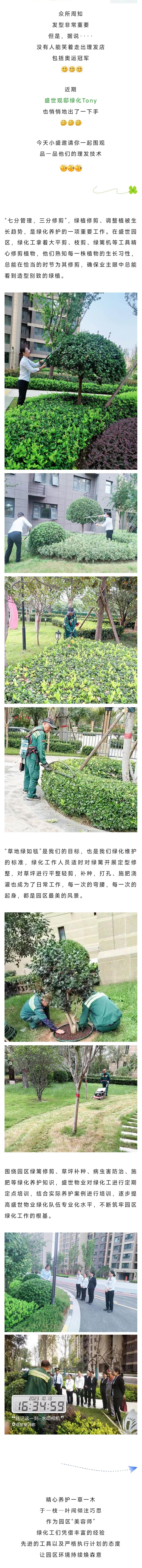 绿化.jpg