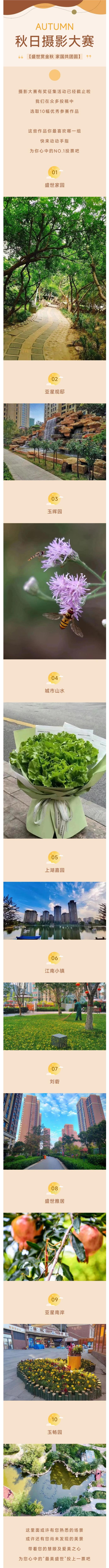 摄影大赛.jpg